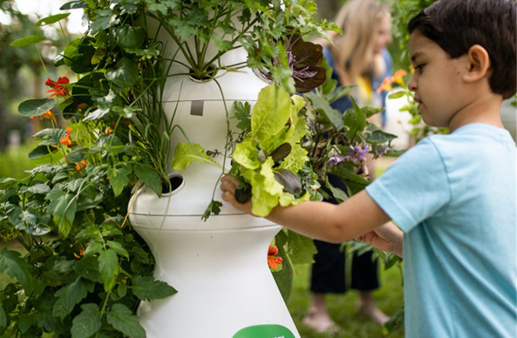 Why Try The Lettuce Grow Farmstand?